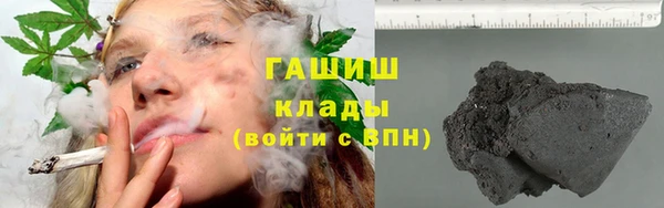 шишки Приозерск