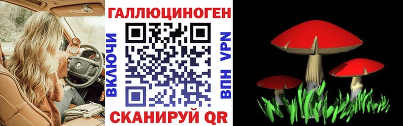 Галлюциногенные грибы мицелий  цена наркотик  KRAKEN как зайти  Тавда 