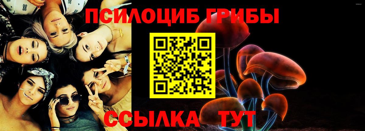Галлюциногенные грибы Psilocybine cubensis  Галлюциногенные грибы Magic Shrooms  Тавда  Вход с VPN 