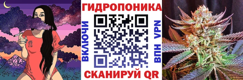 Шишки марихуана индика  Тавда 